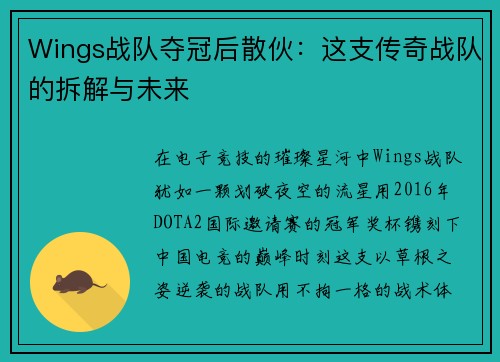 Wings战队夺冠后散伙：这支传奇战队的拆解与未来